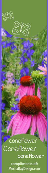 print Flower bookmark: pink Coneflowers with wildflowers and butterflies