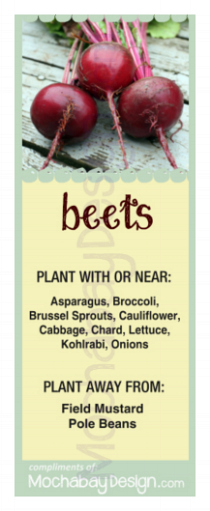 printable Beets vegetable companion planting bookmark