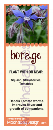 printable Borage vegetable companion planting bookmark