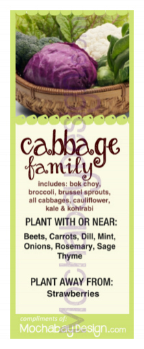 printable Cabbage vegetable companion planting bookmark