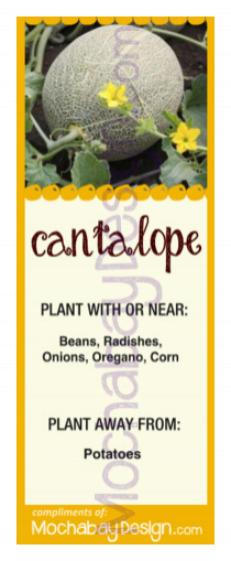 printable Cantalope vegetable companion planting bookmark