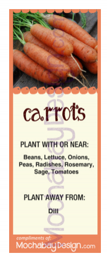 printable Carrots vegetable companion planting bookmark