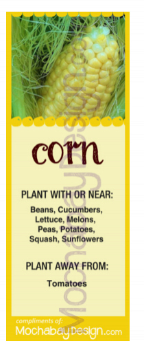 printable Corn vegetable companion planting bookmark