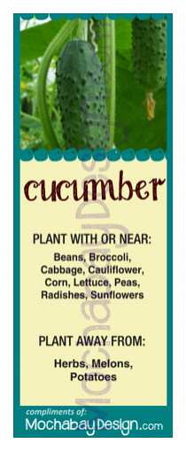 printable Cucumber vegetable companion planting bookmark