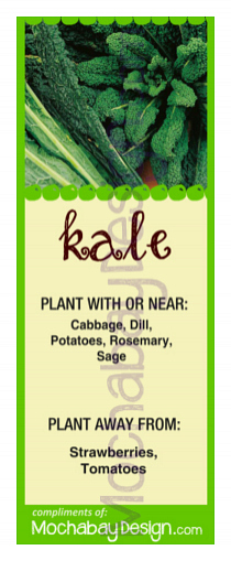 printable Kale vegetable companion planting bookmark