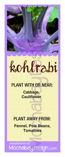 printable Kohlrabi vegetable companion planting bookmark
