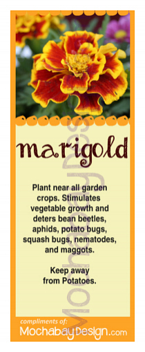 printable Marigold vegetable companion planting bookmark