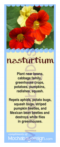 printable Nasturium vegetable companion planting bookmark