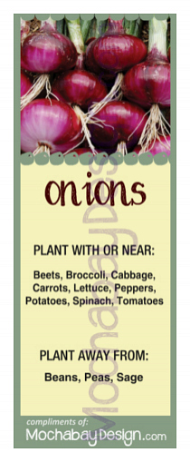 printable Onions vegetable companion planting bookmark