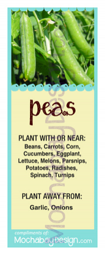 printable Peas vegetable companion planting bookmark