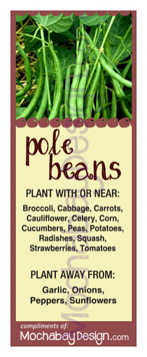 printable Pole Beans vegetable companion planting bookmark