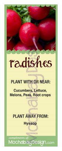 printable Radishes vegetable companion planting bookmark