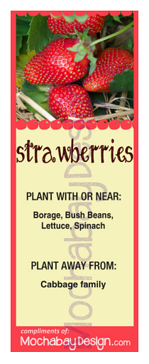printable Strawberries vegetable companion planting bookmark