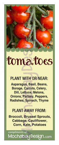 printable Tomatoes vegetable companion planting bookmark