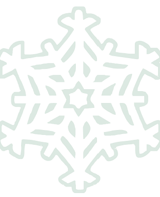Six sided Snowflake, with a star in the center